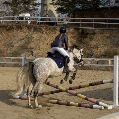 Канал GRANDOVNA🐴 в мессенджере MAX — 166 подписчиков