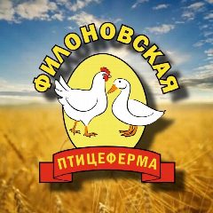Канал 🐥Филоновская птицеферма🐣 в мессенджере MAX — 1 358 подписчиков