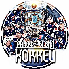 Канал Трансферы ВХЛ | ХОККЕЙ в мессенджере MAX — 1 442 подписчика