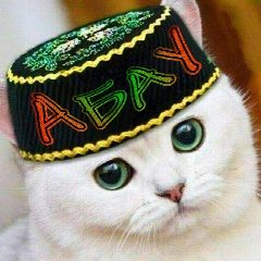 Канал Абау в мессенджере MAX — 341 подписчик
