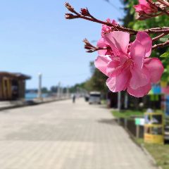 Канал Abkhazia Open в мессенджере MAX — 362 подписчика
