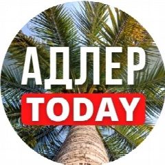 Канал АДЛЕР TODAY в мессенджере MAX — 16 703 подписчика