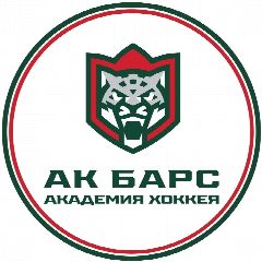 Канал Академия хоккея «Ак Барс» в мессенджере MAX — 1 022 подписчика