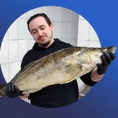 Канал Никита и Рыба в мессенджере MAX — 75 подписчиков