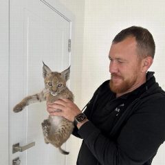 Канал Александр Чубаков в мессенджере MAX — 2 423 подписчика