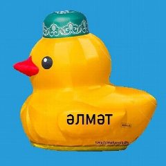 Канал Альметьевск Новости | Нижняя Мактама, Русский Акташ, Урсала, Кульшарипово, Тихоновка, Калейкино, Елхово, Тайсуганово, Миннибаево, Кичучатово, Гюзель Хабутдинова в мессенджере MAX — 10 604 подписчика
