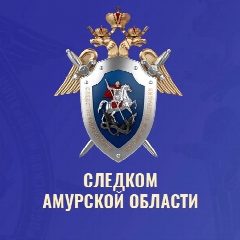 Канал Следком Амурской области в мессенджере MAX — 570 подписчиков