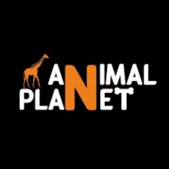 Канал Animal Planet в мессенджере MAX — 5 275 подписчиков
