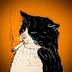 Канал Животные на каждый день | Собаки Коты Кошки Змеи Домашние питомцы попугай рыбы черепахи ящерицы хомяки котята псы кошечки аквариум террариум зоопарк природа птицы звери щенки корги мопсы кошечки в мессенджере MAX — 1 281 подписчик