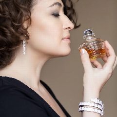 Канал Aromablog в мессенджере MAX — 563 подписчика