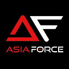 Канал ASIAFORCE / ЧИП ТЮНИНГ в мессенджере MAX — 984 подписчика