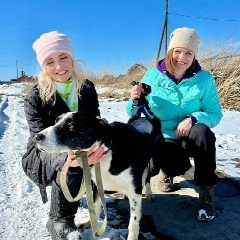 Канал Приют для животных "Добрые руки" в мессенджере MAX — 903 подписчика