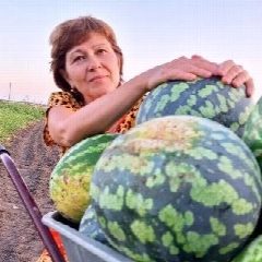 Канал ЖИЗНЬ НА ЮГЕ в мессенджере MAX — 1 215 подписчиков