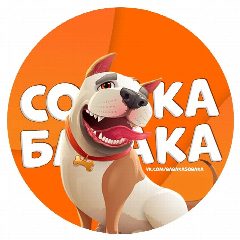 Канал Собака бабака в мессенджере MAX — 2 186 подписчиков