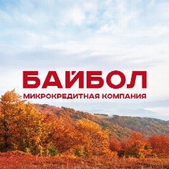 Канал Байбол | Займы для своих в мессенджере MAX — 1 015 подписчиков