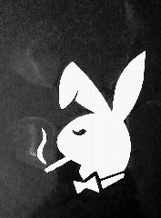 Канал Bald Rabbit в мессенджере MAX — 38 подписчиков