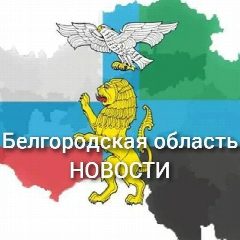 Канал Белгород НОВОСТИ в мессенджере MAX — 6 380 подписчиков