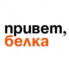 Канал Белка | Белая Калитва в мессенджере MAX — 3 089 подписчиков