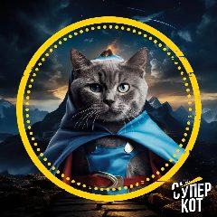 Канал СУПЕРКОТ в мессенджере MAX — 5 080 подписчиков