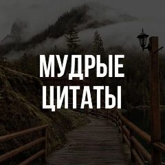 Канал Мудрые цитаты в мессенджере MAX — 20 237 подписчиков