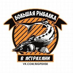 Канал Большая Рыбалка в Астрахани в мессенджере MAX — 2 116 подписчиков