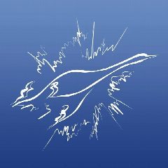 Канал Институт биосенсорной психологии в мессенджере MAX — 195 подписчиков