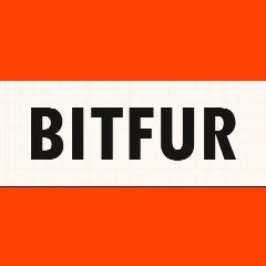 Канал BITFUR в мессенджере MAX — 113 подписчиков