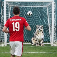 Канал Спортивный Черногорск в мессенджере MAX — 139 подписчиков