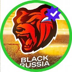 Канал BLACK RUSSIA блэк раша в мессенджере MAX — 6 652 подписчика