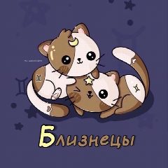 Канал Близнецы ♊︎ Гороскоп в мессенджере MAX — 12 764 подписчика