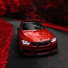 Канал BMW в мессенджере MAX — 74 подписчика