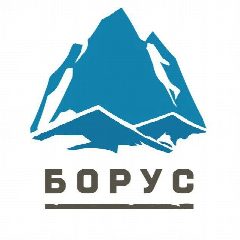 Канал Борус в мессенджере MAX — 18 348 подписчиков
