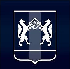 Чат-бот ЕКЦ Новосибирской области для мессенджера MAX