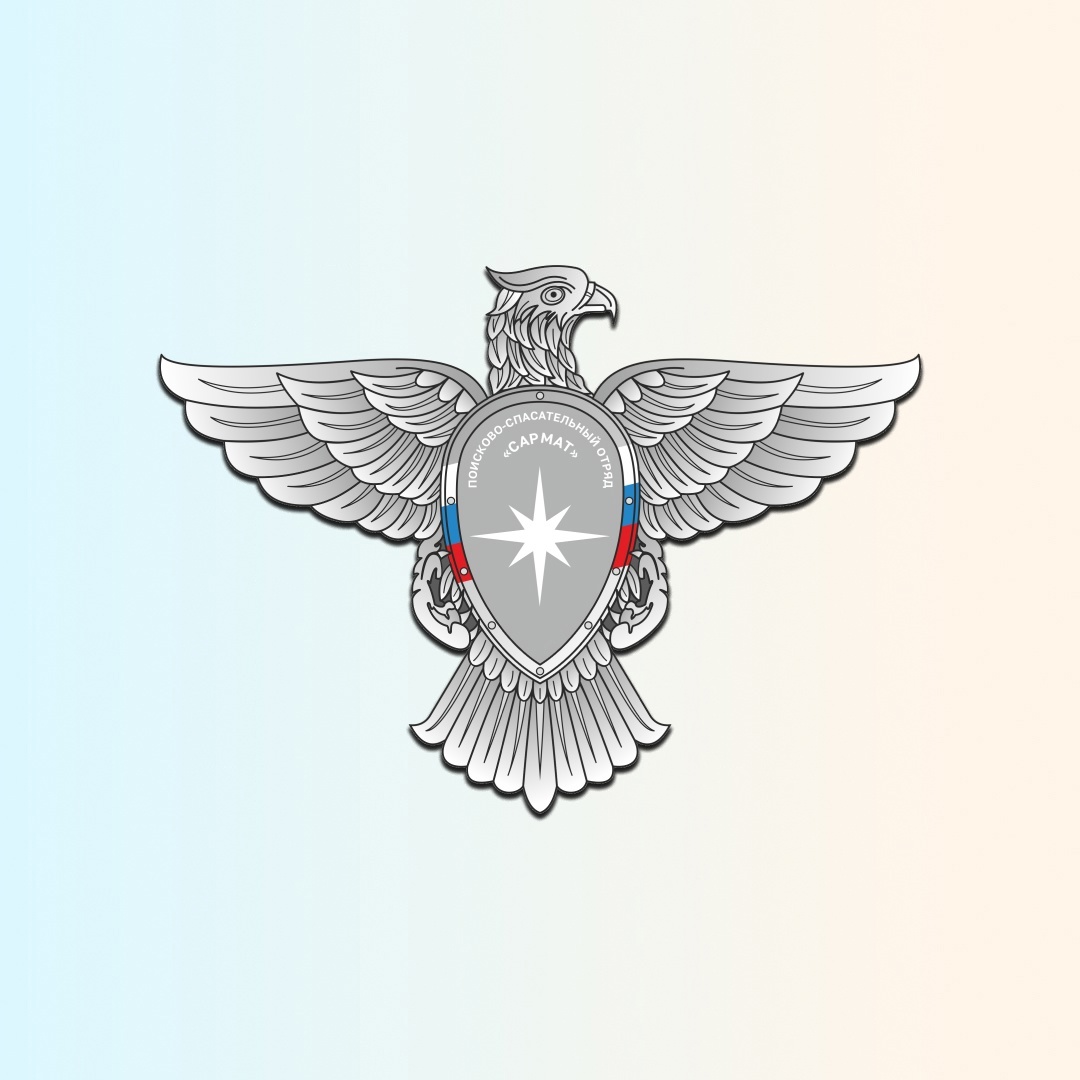 Чат-бот ДНК ОРОО "ПСО "САРМАТ" для мессенджера MAX