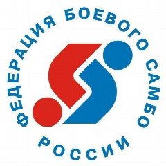 Канал БОЕВОЕ САМБО в мессенджере MAX — 397 подписчиков
