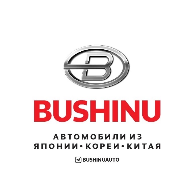 Канал BUSHINUAUTO в мессенджере MAX — 6 100 подписчиков