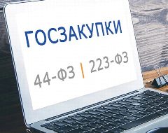 Канал 💸 Бизнес и госзакупки 💸 в мессенджере MAX — 310 подписчиков