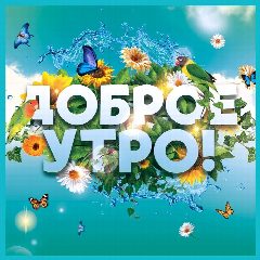 Канал Тележка с открытками. Открытки и поздравления. Доброе утро! С Днём рождения! Спокойной ночи! Настроение. 2 декабря. С Днём банковского работника, 2D-художника, пушистой нежности! в мессенджере MAX — 6 583 подписчика