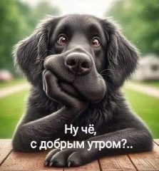 Канал ЮМОР В КАРТИНКАХ! в мессенджере MAX — 7 387 подписчиков