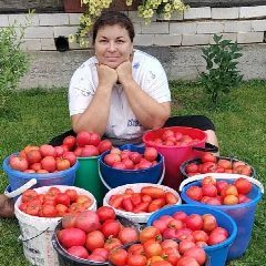 Канал Село и Юля в мессенджере MAX — 14 131 подписчик