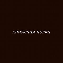 Канал книжная полка в мессенджере MAX — 301 подписчик