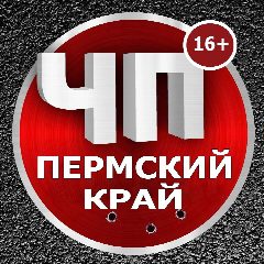 Канал ЧП|Пермский край в мессенджере MAX — 14 подписчиков