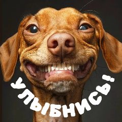 Канал УЛЫБНИСЬ! в мессенджере MAX — 176 подписчиков