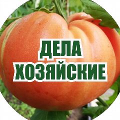 Канал Дела Хозяйские в мессенджере MAX — 1 256 подписчиков