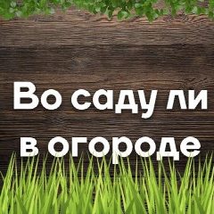 Канал Во саду ли в огороде в мессенджере MAX — 2 103 подписчика