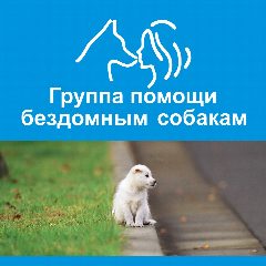 Канал Город преданных собак 73 в мессенджере MAX — 65 подписчиков
