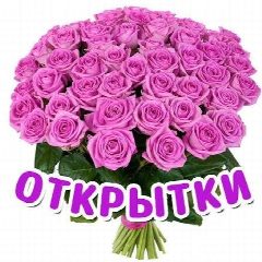 Канал Открыточная | Открытки | Поздравления в мессенджере MAX — 34 подписчика