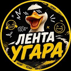 Канал Смешные видео в мессенджере MAX — 320 подписчиков
