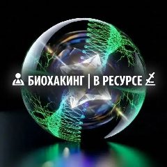 Канал 🧬 Биохакинг | В ресурсе! 🔋 в мессенджере MAX — 376 подписчиков