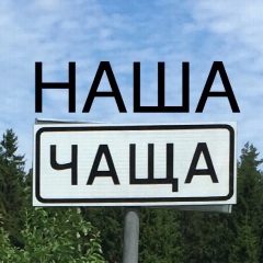 Канал НАША ЧАЩА! в мессенджере MAX — 53 подписчика